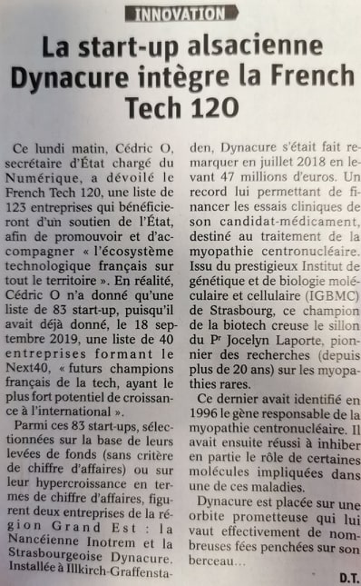 dynacure